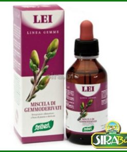 Lei Miscela di Gemmoderivati 100 ml – Zefirus Linea Gemme