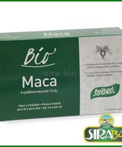 Maca – 60 capsule