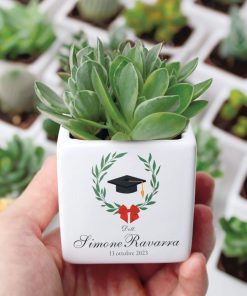 Bomboniera con Piante Grasse Succulente e Mini Cactus in Vasetto di Ceramica Bianco Personalizzata con Nome, Tocco e Corona di Laurea – Idea Bomboniera per Laurea
